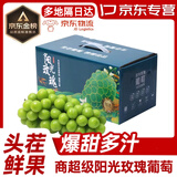 果益寿江苏阳光玫瑰葡萄【JD闪送】晴王葡萄青提子双11百亿补贴水果盒装 一级果2斤手提礼盒装单粒8-10g