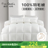 皮尔卡丹 暖绒抗菌 100%羽毛被加厚被子 单人冬被 1500g填充150*200cm