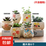 大口径拼盘多肉花盆陶瓷素烧透气个性粗陶桌面造景绿植手绘小花盆 倾城花朵组合6个 【看图标注】