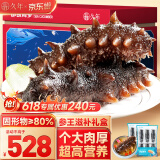 久年大连即食海参1000g12-18只 固形物超80% 冷冻辽刺参 海鲜水产礼盒