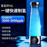 Stanisic德国品牌富氢水素超饱和水杯氢氧分离电解碱性制氢水杯子高档礼物 铅色女神款【高档礼盒】260ml