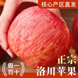 洛川苹果陕西延安红富士时令苹果水果礼盒装糖心苹果生鲜脆甜整箱好吃新鲜 10斤铂金果75-80mm（净重8.5斤）