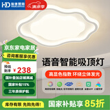 HDled全光谱吸顶灯 智能灯具防频闪高显指大客厅卧室灯饰套餐 拾光花朵 46W智能调光/52*40cm