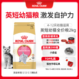 皇家猫粮 英短幼猫粮 BSK38 通用粮 4-12月 2KG