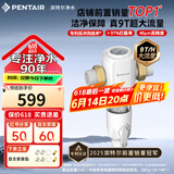 滨特尔（pentair）前置过滤器大通量家用全屋自来水管道40μm过滤器9吨/H大流量水驱涡轮+反冲洗刮洗净水器 【升级9T/H】S160前置过滤器