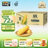 北纬47°水果玉米4.4斤(220g*10根) 开袋即食鲜甜玉米棒真空包装 低脂低GI