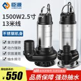 臣源直流潜水泵48-60v高扬程12V24V72V电瓶车抽水泵家用农用抽水机 【48V60V72V】1500W2.5寸+13米线