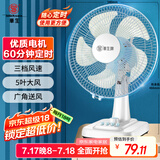 华生（Wahson）电风扇/台扇/低音风扇/大风量家用电扇/空调伴侣交流定频风扇 WS-A1201