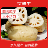 京鲜生莲藕3斤 新鲜脆莲藕生吃煲汤炒菜 新鲜蔬菜 源头直发