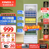星星（XINGX）展示柜冷藏保鲜柜饮料柜单门立式冰柜风冷直冷冰箱商用食品留样超市便利店蔬菜水果麻辣烫啤酒水柜 25款风冷除霜 1级能效228升LSC-235C