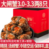 【活蟹】蟹知音大闸蟹鲜活六月黄现货特大螃蟹海鲜水产河蟹类礼盒 【精选】六月黄3.0-3.3两 8只