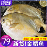 缤鲜 山东 新鲜冷冻金鲳鱼净重 400g-500g/条 3条装 源头直发