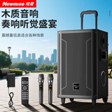 纽曼（Newmine）N530 12寸广场舞蓝牙音箱大功率户外移动便携式拉杆家用K歌大音量无线音响超长续航双麦 7喇叭