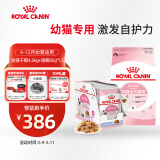 皇家幼猫 干湿搭配   K36 4.5KG+ KJP 85G*12