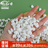 寿禾 白石子小石头多肉盆栽鱼缸造景绿植装饰 6-9mm白卵石500g