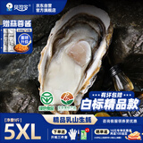 贝司令（BEISILING）【鲜活】乳山生态生蚝牡蛎贝类烧烤源头直发5XL净重9斤 海鲜水产