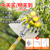 EVANLEY摘果神器伸缩杆摘柿子杨梅李子杏子荔枝摘果芒器高空采摘水果工具 【升级加固款】10米不锈钢摘果器
