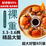 【活蟹】湖鲜阳澄 大闸蟹 去绳足重 3.3-3.6两 8只 鲜活六月黄现货超大螃蟹生鲜礼盒装