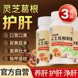 九芝堂葛根灵芝护肝片胶囊3瓶 护肝养排肝清肝舒肝毒李时珍成人男女保健
