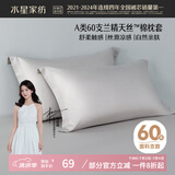 水星家纺枕套60支兰精天丝™棉凉感枕头套A类一对装枕头罩双人家用48x74cm