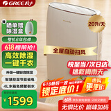 格力（GREE）除湿机/抽湿机家用卧室客厅低噪除潮除霉可干衣单间40平除湿器20升/天智能控湿24H定时DH20EF