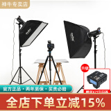 神牛（Godox） 神牛SK400II二代摄影灯400W影室专业闪光灯套装人像静物服装影棚器材拍照灯 【套装1】SK400II两灯套装+大礼包 索尼版
