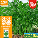 北蔬 香菜种籽老品种小叶大叶盆栽四季籽种苗 叶多维香菜种子约1300粒