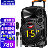 TEMEISHENG 特美声TC-105户外K歌音响重低音12吋大功率便携拉杆ktv音响专业ktv音响套装ktv音响家用广场操场 15吋 重低音+双话筒+遥控器