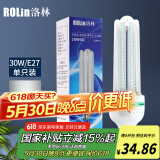 洛林（ROlin）led灯泡节能灯泡 e27大螺口家用商用大功率光源 30W白光