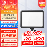 神牛（Godox） 补光灯P120C摄影灯单反摄像机相机摄像灯影视拍照婚庆常亮灯光 P120C平板灯 标配