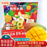 京地达海南现摘青皮澳芒净重5斤礼盒装约2-4个甜心芒果新鲜水果源头直发
