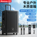 纽曼（Newmine）N537 12寸广场舞蓝牙音箱大功率户外移动便携式拉杆家用K歌大音量无线音响超长续航双麦 13喇叭