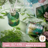 野兽派（THE BEAST）Jungle清新龙舌兰香薰蜡烛礼盒室内香薰新婚礼物生日礼物520礼物