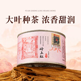 元正红茶岭上红武夷山浓香特级50g罐装