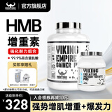 北欧海盗VIKING增肌粉  乳清蛋白粉瘦人增肌增重蛋白粉健身人士补剂运动 【强化装】4磅增肌粉+肌酸