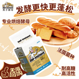 燕子（SAF INSTANT） 烘焙原料 金装 高活性即发干酵母粉 500g 耐高糖发酵快
