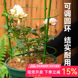 生长魔励植物攀爬支架花盆爬藤花架月季固定支柱蟹爪兰铁线莲花卉支撑架子 新款爬藤架45CM套装 【2套起拍】
