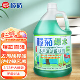 榄菊薄荷绿水3.78L地板清洁剂辟味地板水拖地清洁剂 植物防叮