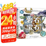 DK儿童图解百科全书岩石与宝石