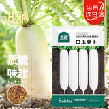 北蔬 白萝卜种子种苗大根大白萝卜秋季蔬菜种籽 白玉萝卜种子300粒