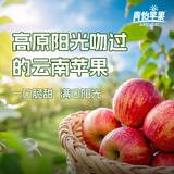 青怡云南昭通红露苹果冰糖心当季早熟脆甜应季水果产地直发 1.5斤【60mm】