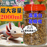 六角恐龙鱼饲料高蛋白面包虫干蝾螈专用鱼食娃娃鱼龙鱼上浮增色粮 【尝鲜装】500ml小桶装 六六最爱高蛋白面包虫干
