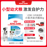 皇家狗粮幼犬狗粮幼犬奶糕宠物小型犬MIJ31全价犬粮2-10月8KG