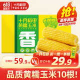 十月稻田 黄糯玉米4.4斤(220g*10根)  东北糯玉米 父亲节礼盒 早餐杂粮