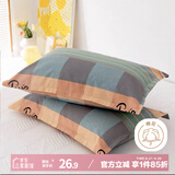 艾薇 老粗布枕套夏季凉席枕头套枕套一对装 塞纳风情 48*74cm