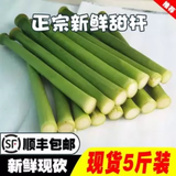 顺丰崇明甜杆新鲜甜芦粟小甘蔗芦稷甜高粱杆现砍中断孕妇水果整箱 1斤整箱