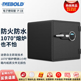 迪堡（Diebold）防火保险柜防盗防水大小型家用保管箱电子密码全钢防火柜 防火1B-24(宽530*深528*高610)