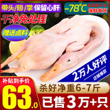 柒岛大鹅生鲜整只鹅肉大白鹅老鹅新鲜农家散养土鹅烤鹅煲汤红烧批发 大白鹅净重6-7斤 【更多人选择】