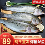 渔吻 新鲜海鲈鱼3条装鲜活冷冻七星深海鲈鱼花鲈鱼生鲜鱼类鱼礼盒 整条鲈鱼500g*3条