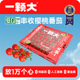 一颗大串收小番茄 圣女果 新鲜现摘樱桃番茄净重4斤/2盒 源头直发